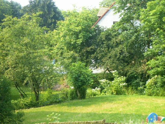 Waldpension zum Felsenkeller Lichtenfels-Sachsenberg Eksteriør billede